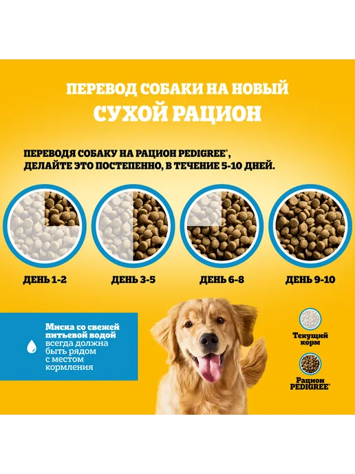 Сухой корм PEDIGREE для собак, говядина, 6 кг, фото 5