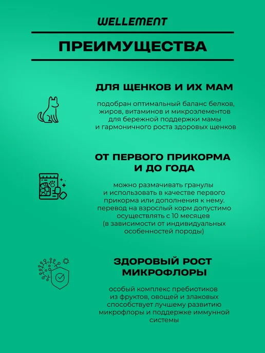 Сухой корм Wellement Маленьких Беременных для собак, щенки, 2,5 кг, фото 2