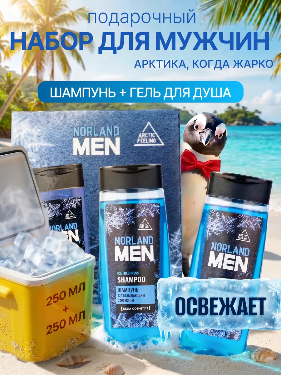 Набор шампунь мужской и гель для душа Norland Men Ice 2 в 1