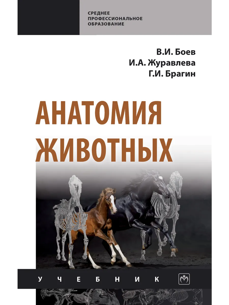 Анатомия животных