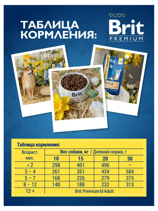 Сухой корм Brit Молодых Premium для собак, щенки, 0,3 кг, фото 6