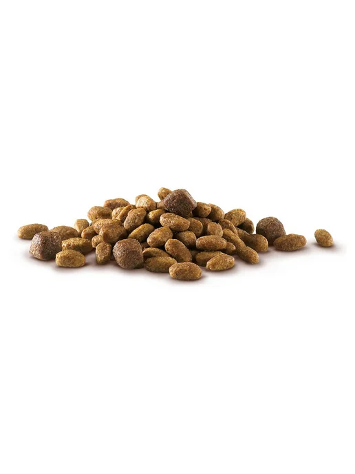 Сухой корм purina One для собак, лосось, 0,6 кг, фото 6