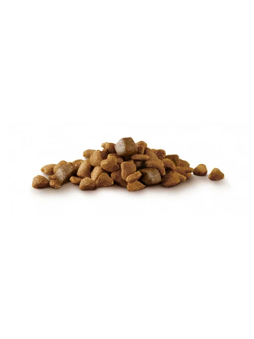 Сухой корм purina One для собак, индейка, 0,6 кг, фото 6