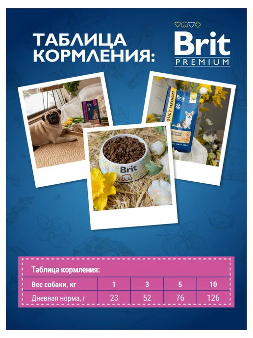 Сухой корм Brit Premium для собак, взрослые, курица, 1 кг, фото 6
