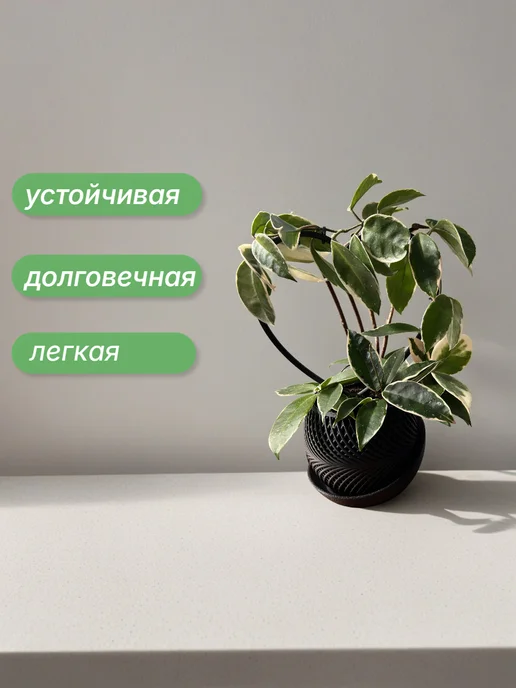 Опора для комнатных цветов и растений, белый, фото 4