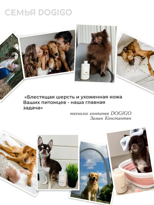 DOGIGO Шампунь для собак породы пудель, 415 мл, фото 2