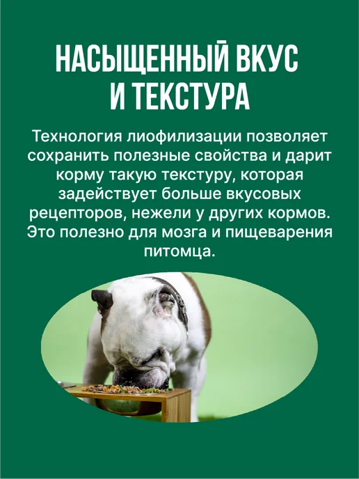 Сухой корм Morrigan для собак, мелкие, 3 кг, фото 4
