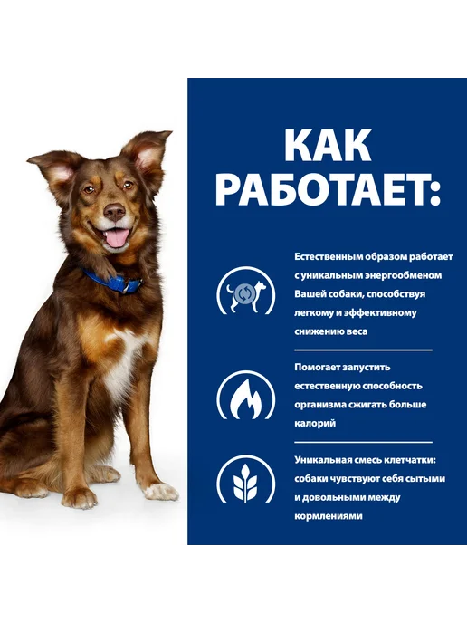 Сухой корм HILL'S Metabolic Ожирением для собак, ягненок, 1,5 кг, фото 6