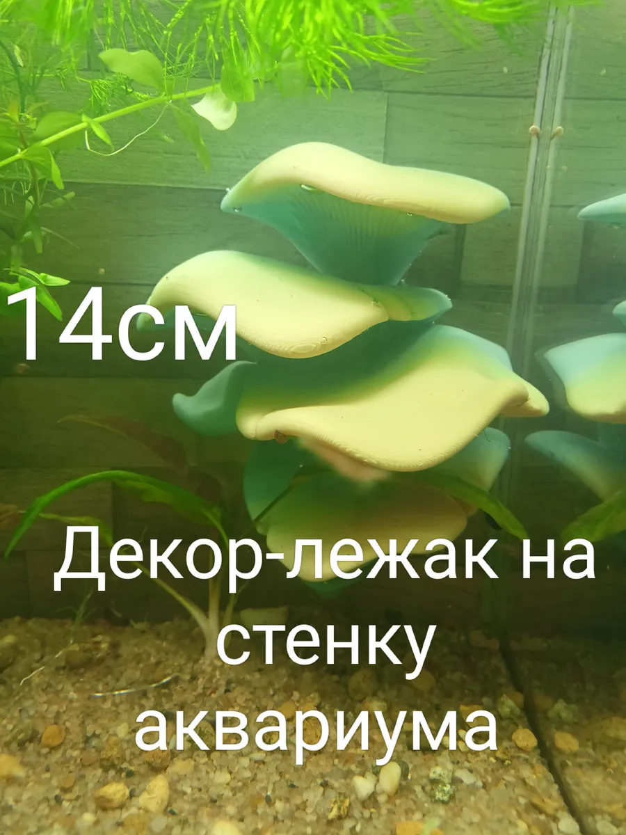 Декор на стенку аквариума и террариума 14см