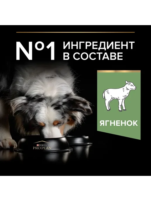 Сухой корм PRO PLAN для собак, средние, чувствительное пищеварение, ягненок, 14 кг, фото 3