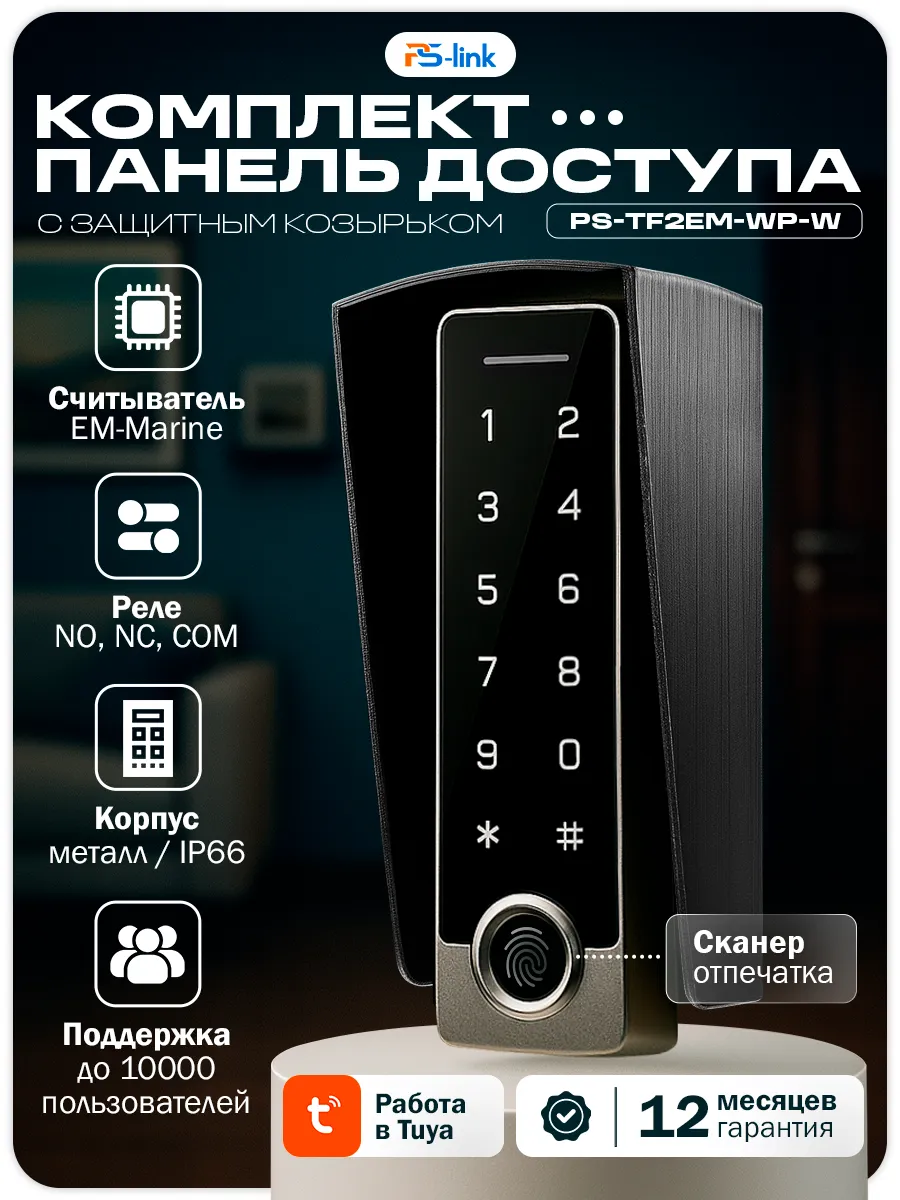 Комплект панели доступа+козырек TF2EM-WP-W (Черный)