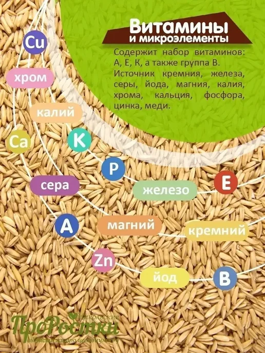Овес голозерный для проращивания 500г, 500 г, фото 3