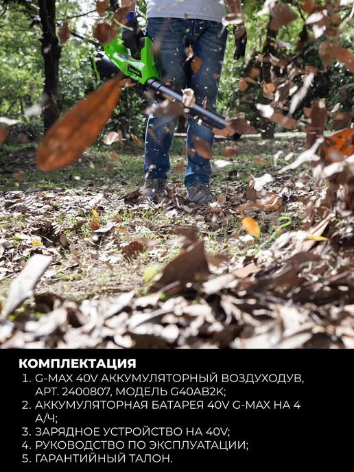 Greenworks Воздуходув аккум (1хАКБ 4Ач и ЗУ), арт. 2400807UB, вариант, фото 5
