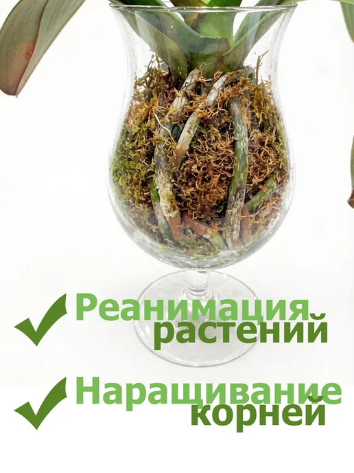 Мох сфагнум грунт для орхидей и растений 3 л, 3 л, фото 2