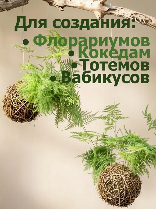 Мох сфагнум грунт для орхидей и растений 3 л, 3 л, фото 3
