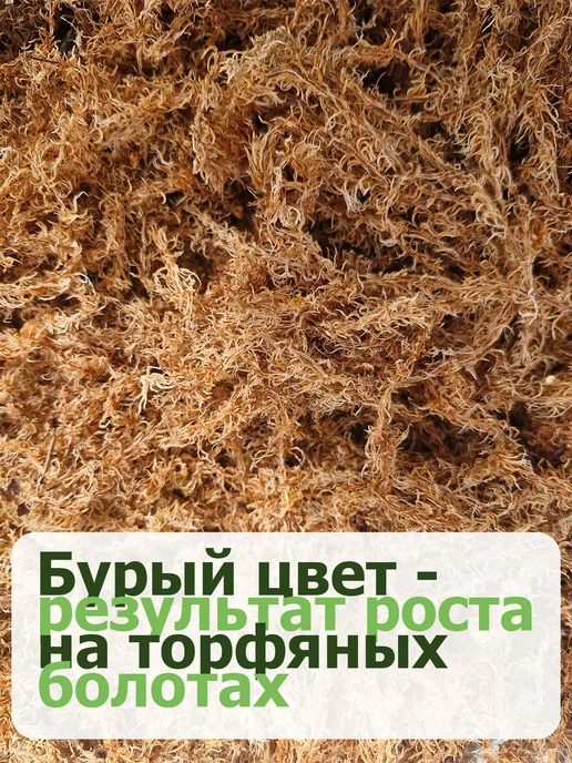 Мох сфагнум грунт для орхидей и растений 3 л, 3 л, фото 5