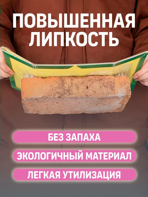 Жак Жак Мышеловка для мышей клеевая липкая ловушка от крыс, вариант, фото 2