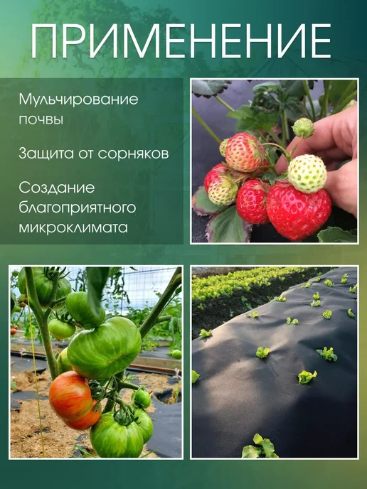 AgroMakHaus Спанбонд черный 300 1.6х10м для клубники от сорняков, 10 м, фото 2