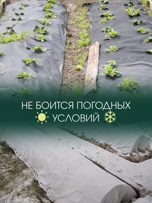 AgroMakHaus Спанбонд черный 300 1.6х10м для клубники от сорняков, 10 м, фото 8