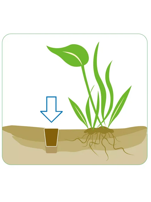 ISTA Water Plant Fertilizer 10 конусов удобрение для растений, вариант, фото 2