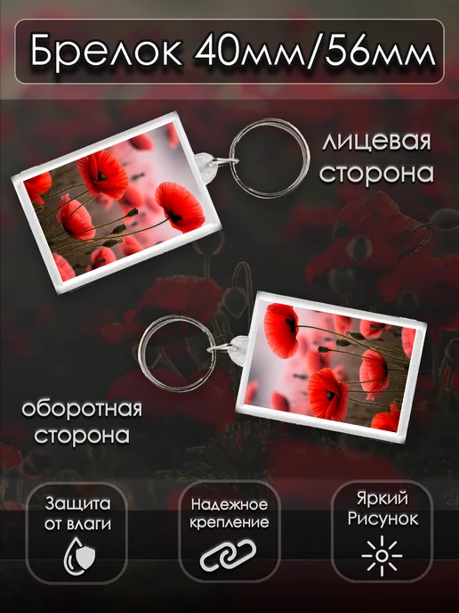 StoryPrint Подарочный бокс мак набор цветы, черный, фото 7