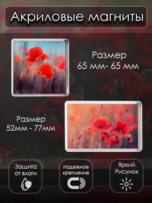 StoryPrint Подарочный бокс мак набор цветы, черный, фото 8