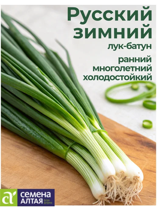 Семена Алтая Лук-батун многолетний. Семена, зеленый