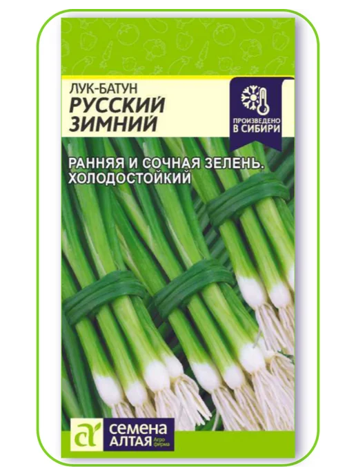 Семена Алтая Лук-батун многолетний. Семена, зеленый, фото 2