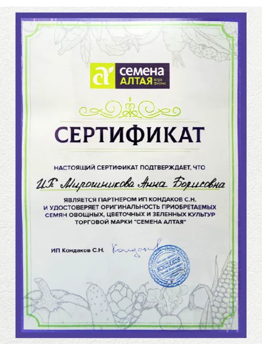 Семена Алтая Лук-батун многолетний. Семена, зеленый, фото 6