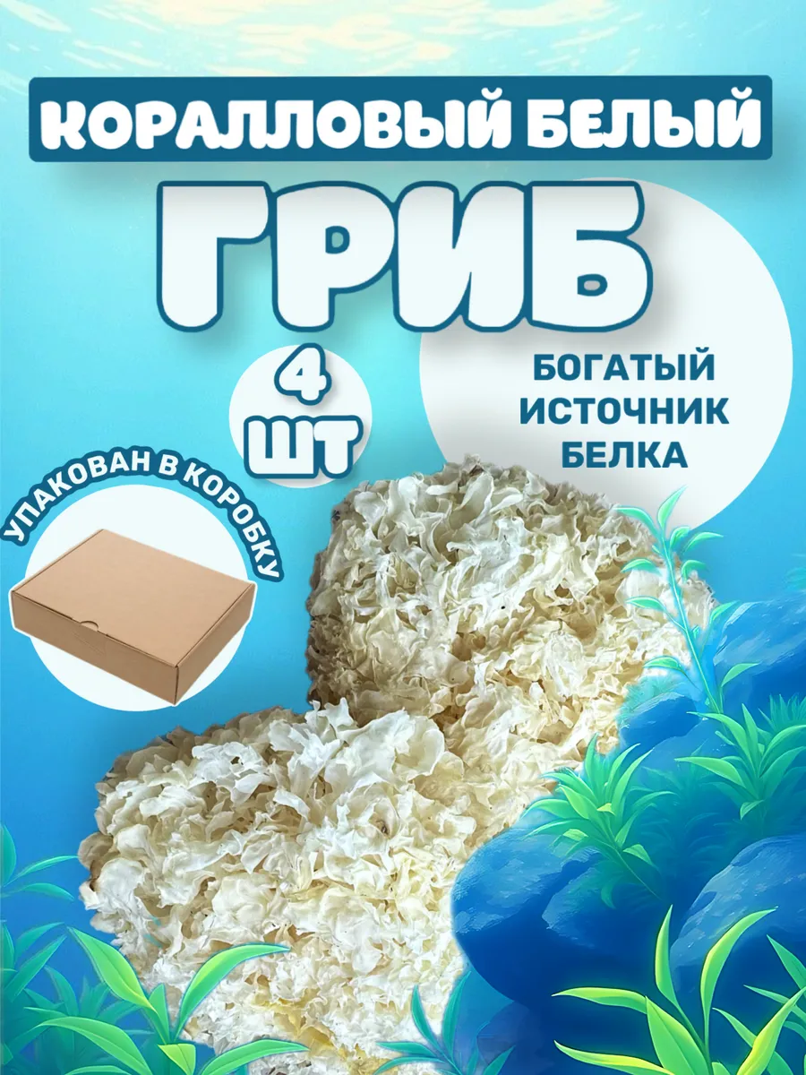 Грибы коралловые 4 шт.