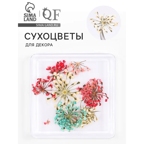 Сухоцветы для декора «Яркость», в футляре, Микс