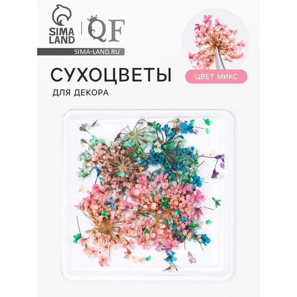 Сухоцветы для декора «Весна», в футляре