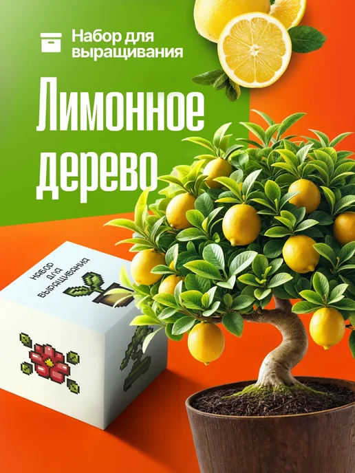 Про Растения Набор для выращивания растений Лимон, вариант