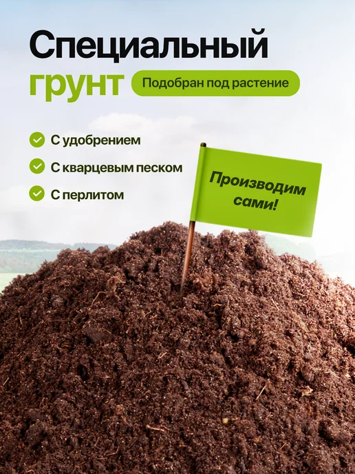 Про Растения Набор для выращивания растений Лимон, вариант, фото 4