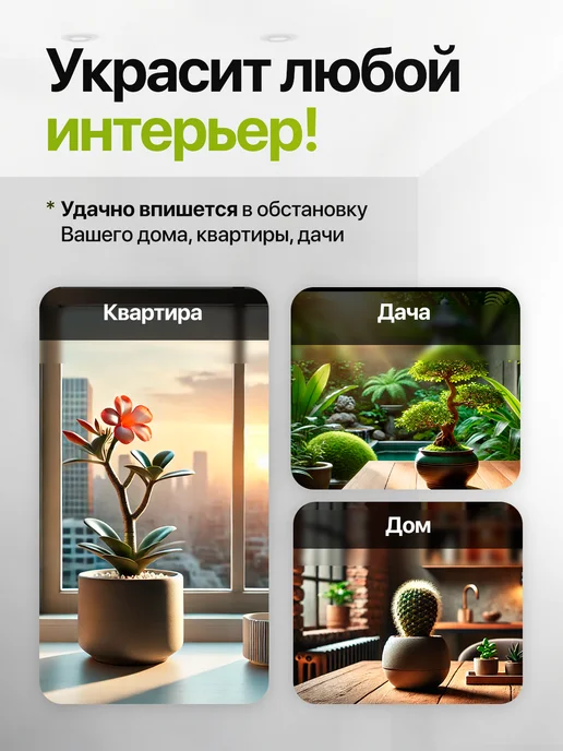 Про Растения Набор для выращивания растений Лимон, вариант, фото 5