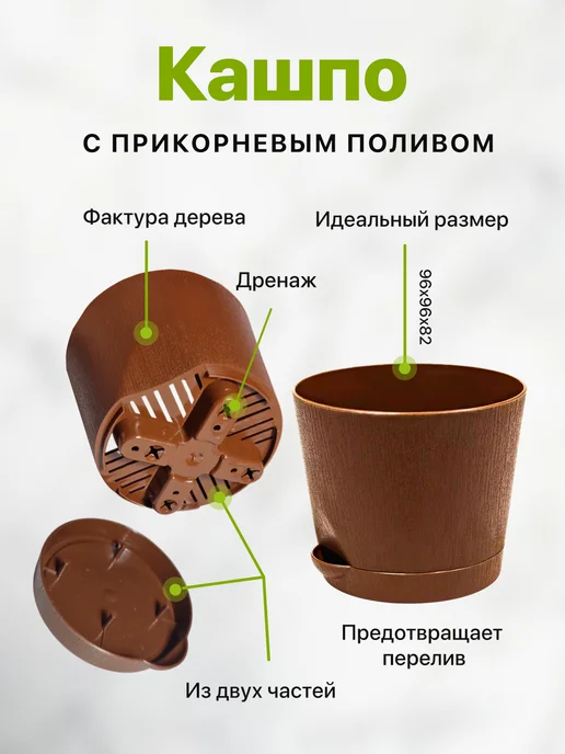 Про Растения Набор для выращивания растений Лимон, вариант, фото 6