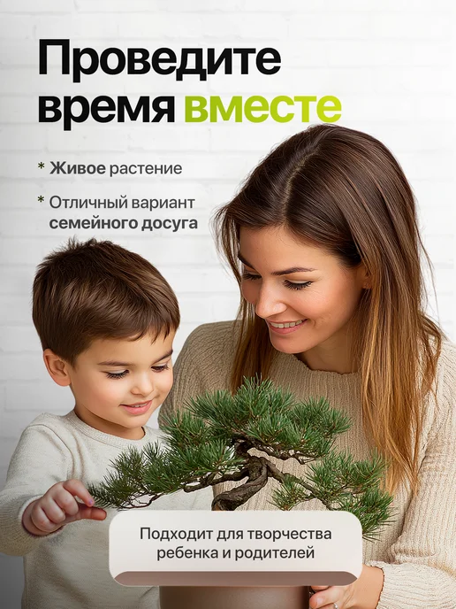 Про Растения Набор для выращивания растений Лимон, вариант, фото 7