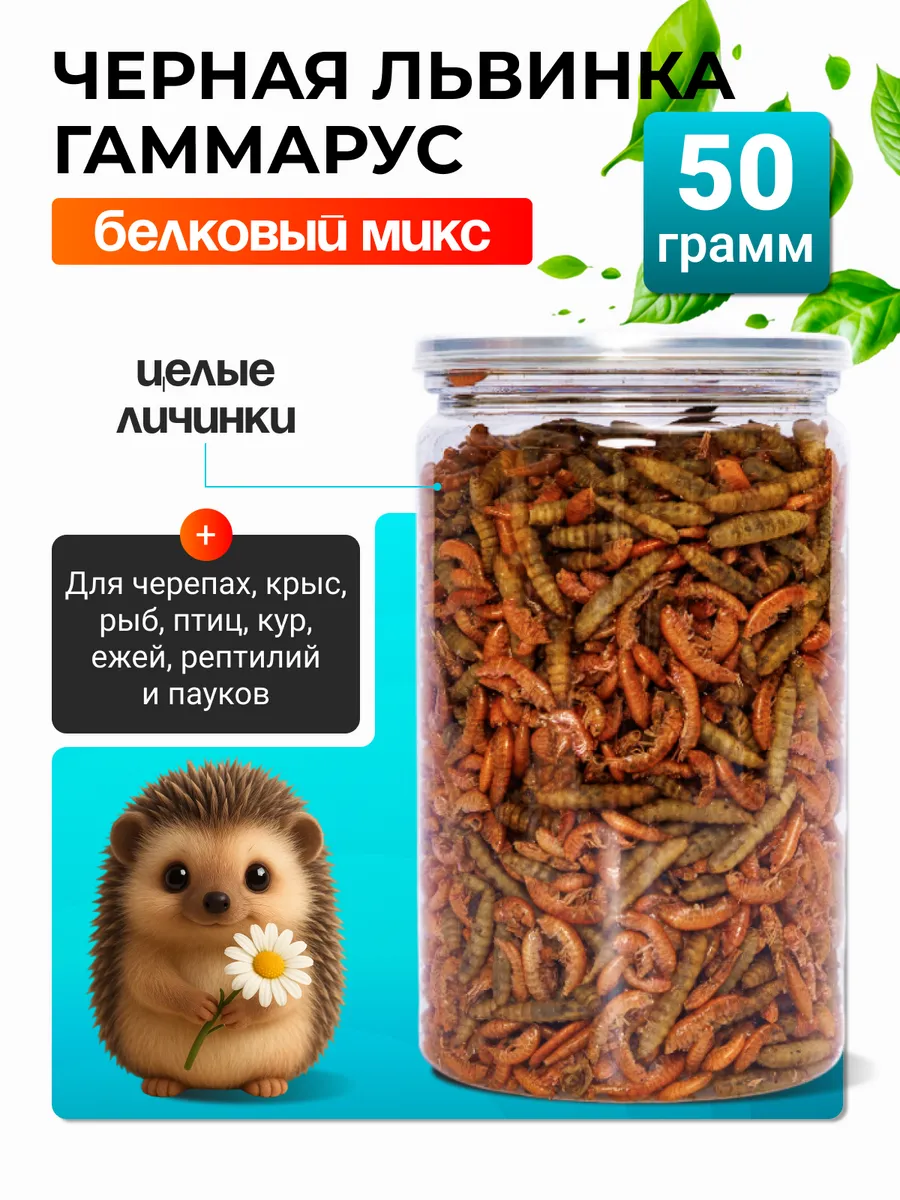 Львинки и Гаммарус природный белок кальций для черепах 50
