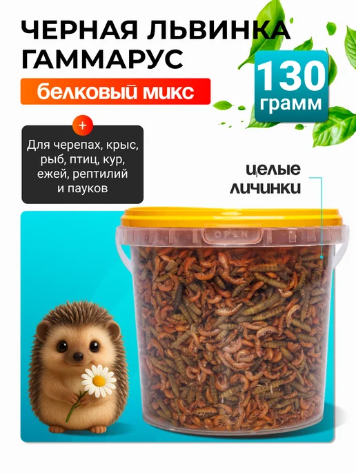 Хитрый крыс Гаммарус крупный алтайский для рыб черепах птиц 40 гр, 130 г, фото 2
