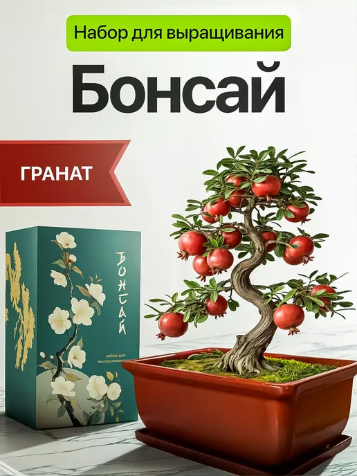Про Растения Набор для выращивания растений Гранат, в упаковке 1,3 кг