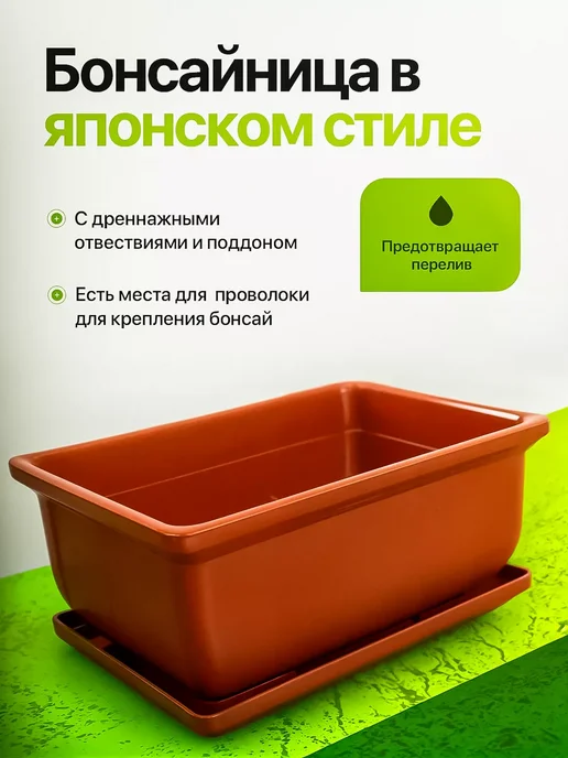 Про Растения Набор для выращивания растений Гранат, в упаковке 1,3 кг, фото 5