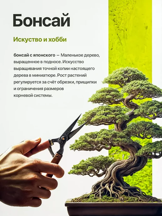 Про Растения Набор для выращивания растений Гранат, в упаковке 1,3 кг, фото 8