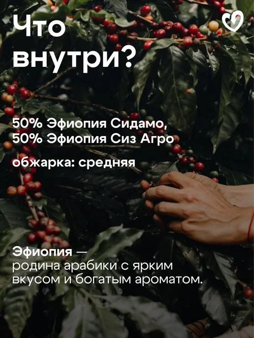 Стрелка кофе Дрип кофе молотый новогодний, 100% арабика, 10 шт, 10 шт, фото 2