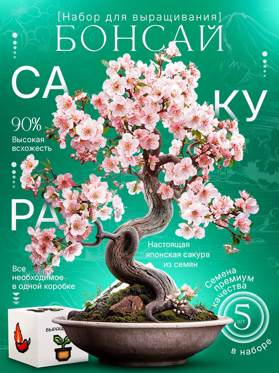 Набор для выращивания растений Бонсай Сакура