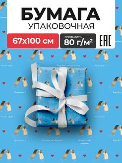 Упаковочная бумага подарочная Крысы 67×100 см
