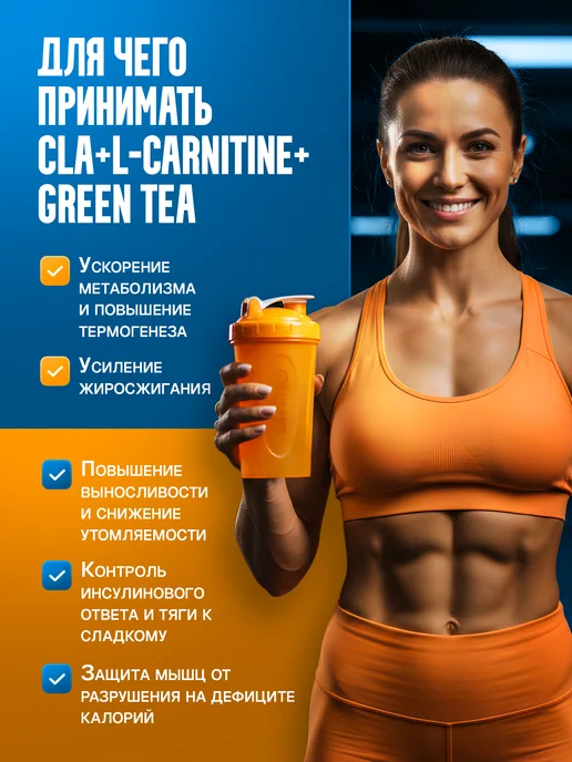 APPLIED NUTRITION Жиросжигатель CLA L-Carnitine Green Tea 100кап снижение веса, зеленый, фото 2