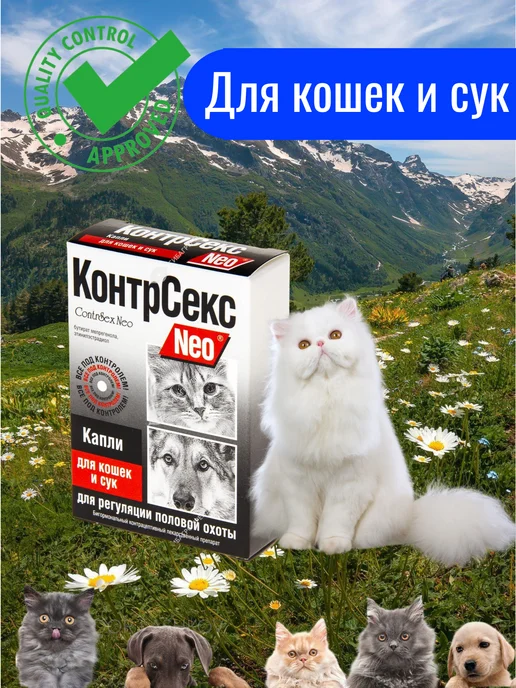 Жас қыздармен өкше киген порно