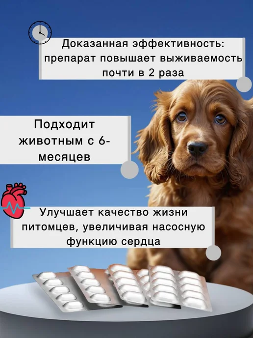 Ветмедин 1,25мг 10 таблеток. Срок 09 27, 1,25 мл, фото 2