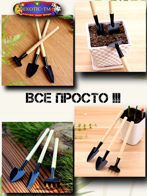EXOTIC-TM Садовый набор 8 пердм. (лопатки для цветов), черный, фото 7