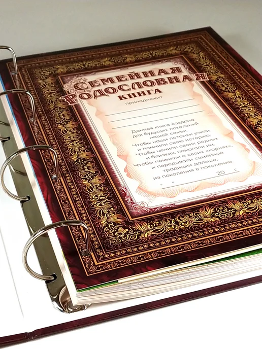 Evgenius-M Родословная книга "Мудрость" картон, красный, фото 2